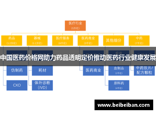 中国医药价格网助力药品透明定价推动医药行业健康发展